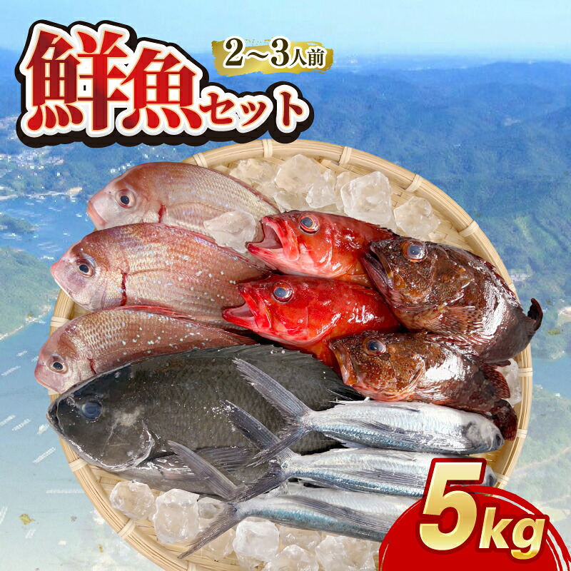 (冷蔵) おまかせ 鮮魚セット 2~3人前 鮮魚 海鮮 セット 海の幸 魚介 詰め合わせ 食べ比べ グルメ 魚 伊勢志摩 三重県 南伊勢町 丸池