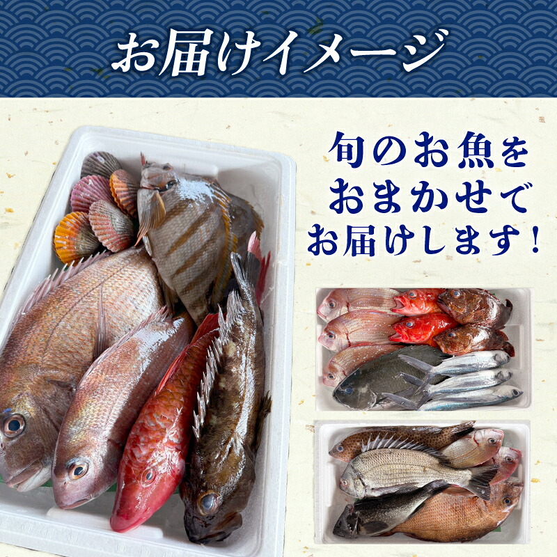 (冷蔵) おまかせ 鮮魚セット 2~3人前 鮮魚 海鮮 セット 海の幸 魚介 詰め合わせ 食べ比べ グルメ 魚 伊勢志摩 三重県 南伊勢町 丸池
