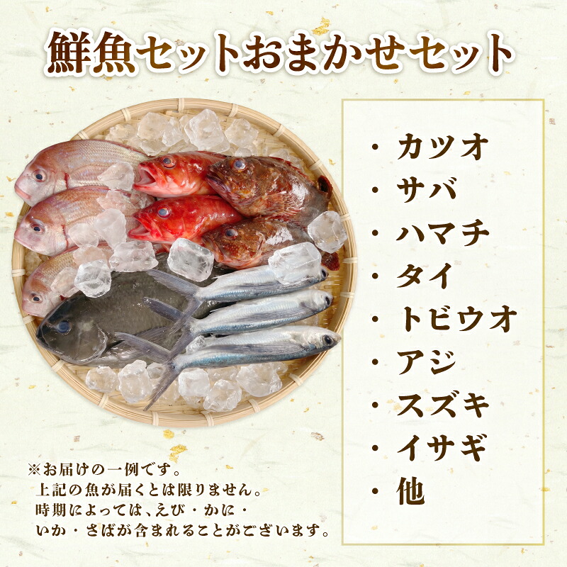 (冷蔵) おまかせ 鮮魚セット 2~3人前 鮮魚 海鮮 セット 海の幸 魚介 詰め合わせ 食べ比べ グルメ 魚 伊勢志摩 三重県 南伊勢町 丸池
