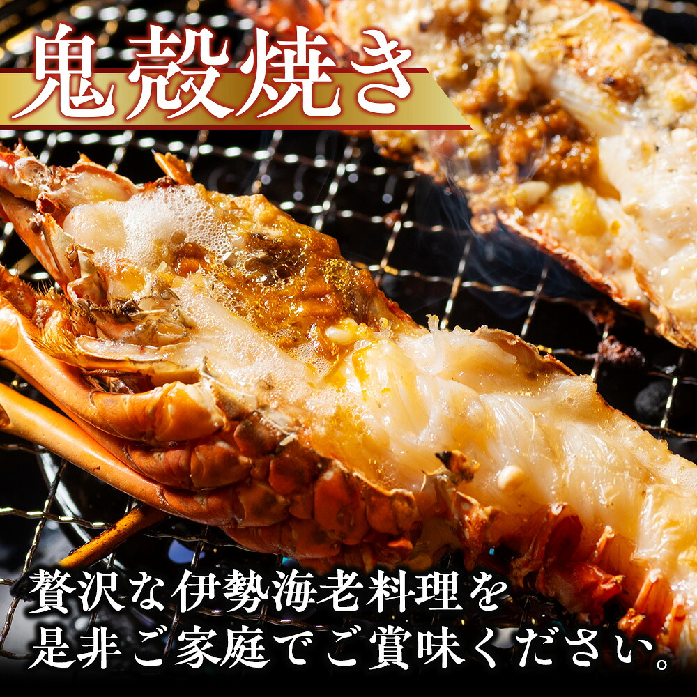 冷凍 伊勢海老 約500g 伊勢えび 産地直送 天然 国産 海鮮 新鮮 刺し身 味噌汁 焼き物 ギフト 贈答 えび 海老 ebi いせえび 高級食材 お歳暮 お正月 年末年始 三重県 南伊勢