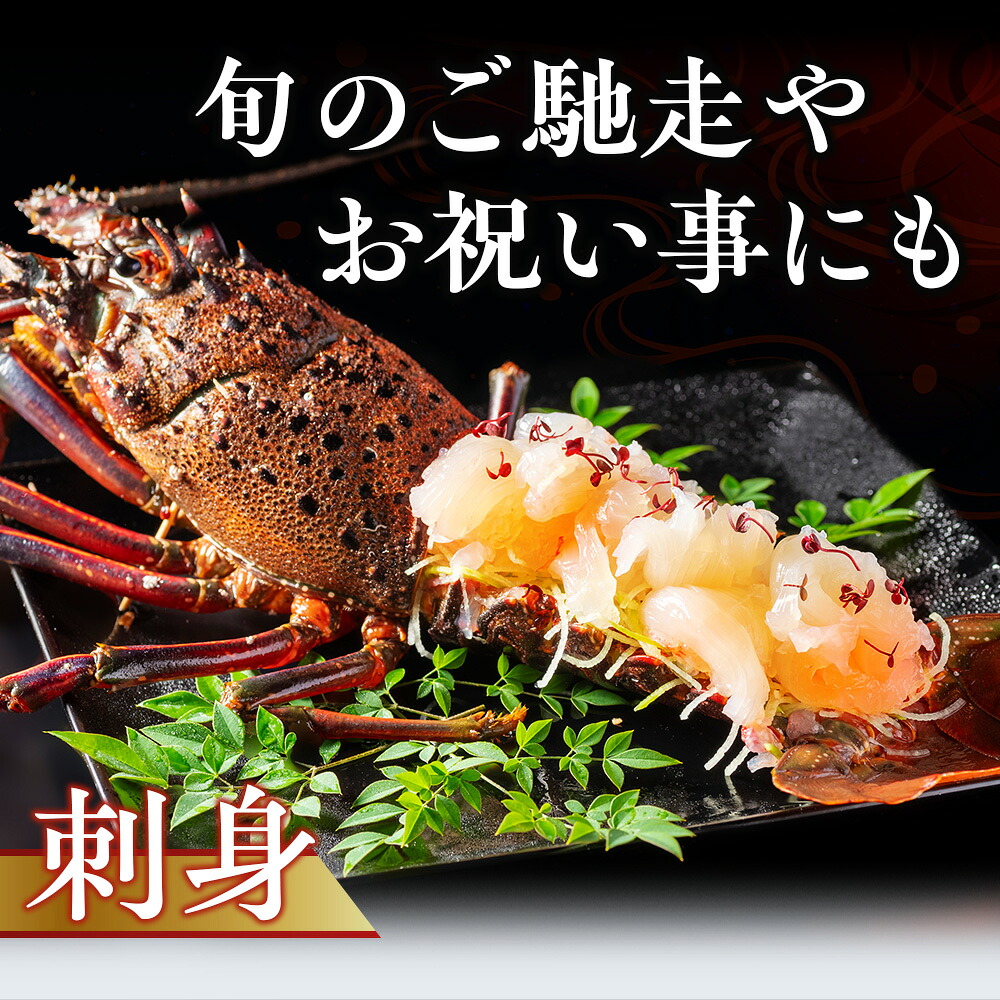 冷凍 伊勢海老 約500g 伊勢えび 産地直送 天然 国産 海鮮 新鮮 刺し身 味噌汁 焼き物 ギフト 贈答 えび 海老 ebi いせえび 高級食材 お歳暮 お正月 年末年始 三重県 南伊勢