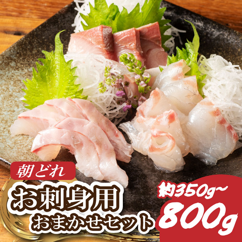 お刺身 おまかせ 2~3種 約350g 盛り合わせ 刺身 刺し身 国産 鯛 ブリ マグロ ヒラマサ カンパチ シマアジ ヒラメ 新鮮 魚 魚介 海鮮 海鮮丼 三重県 南伊勢町 伊勢 志摩 城水産