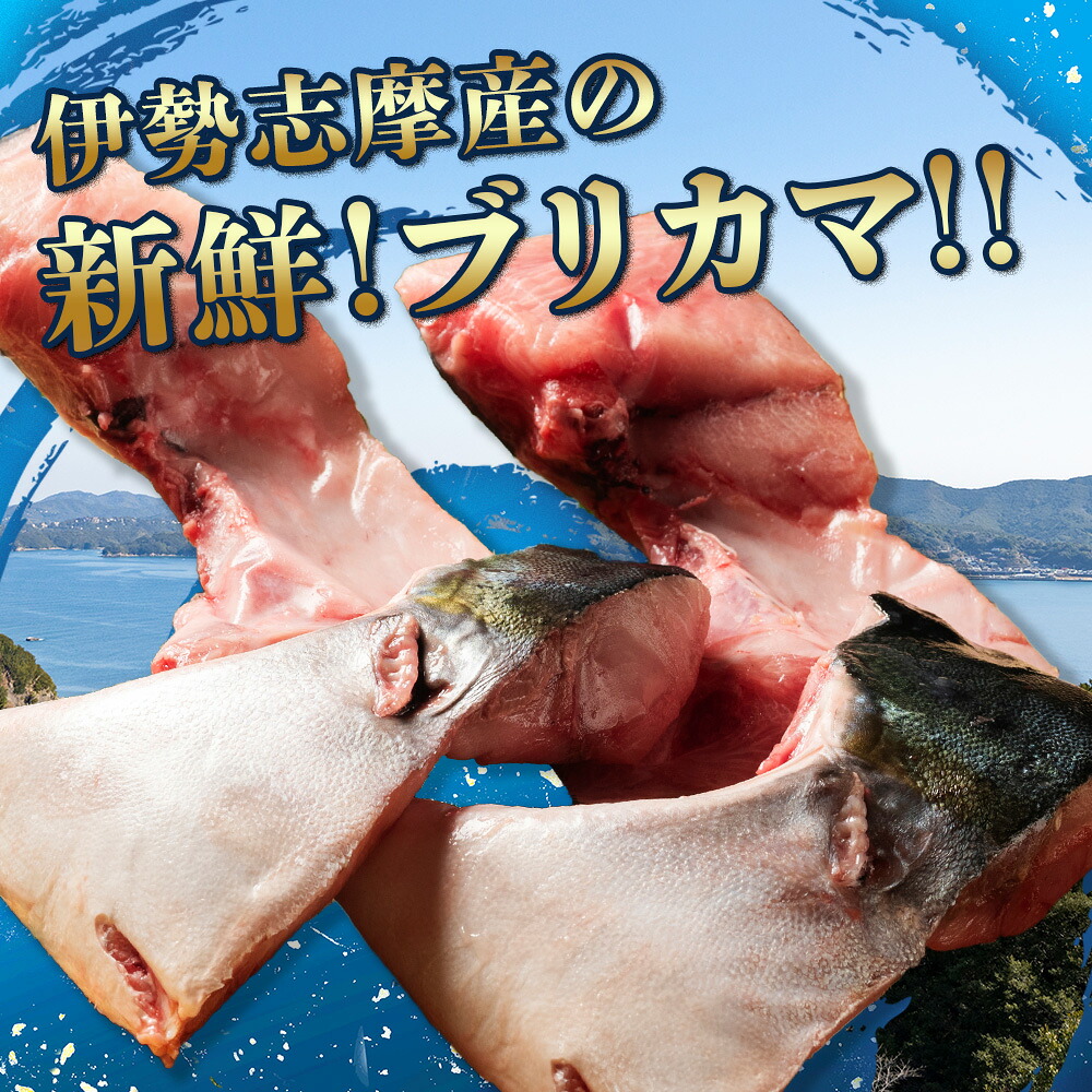 （冷凍） ブリカマ 1kg 伊勢志摩産 城水産 ブリ ぶり 鰤 buri カマ 新鮮 魚 魚介 海鮮 海産物 海 特産品 海の幸 真空冷凍 塩焼き 照り焼き ぶり大根 煮物 BBQ 鯛の町 迫間浦