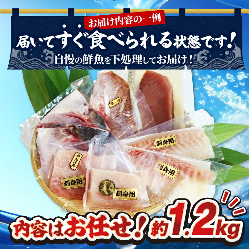 【 訳あり 】 海鮮 ボックス 1.2kg ( おまかせセット ) 海鮮 魚介類 魚介 魚 鮮魚 冷凍 まぐろ マグロ 鯛 かんぱち 勘八 シマアジ ヒラマサ 刺身 刺し身 お刺身 小分け 国産