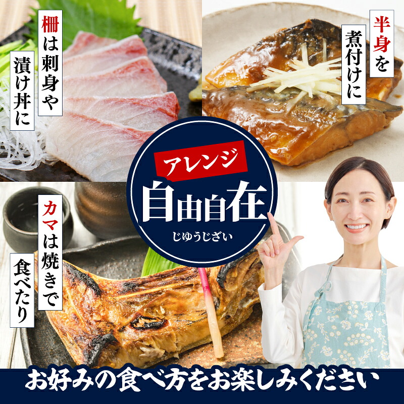 【 訳あり 】 海鮮 ボックス 1.2kg ( おまかせセット ) 海鮮 魚介類 魚介 魚 鮮魚 冷凍 まぐろ マグロ 鯛 かんぱち 勘八 シマアジ ヒラマサ 刺身 刺し身 お刺身 小分け 国産