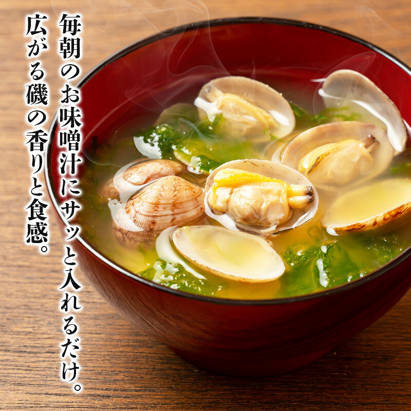 あおさ 約15g × 4袋 計60g アオサ 海苔 冷蔵 あおさ海苔 海藻類 国産 味噌汁 産地直送 三重県 伊勢 志摩 南伊勢