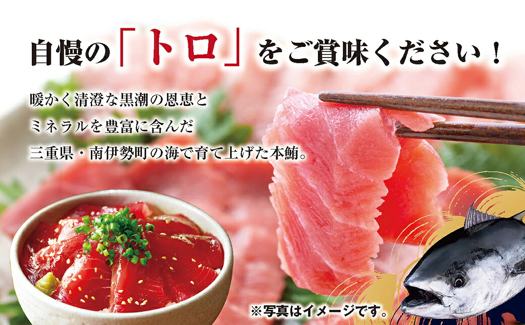 マグロ 詰め合わせ 300g 本まぐろ 本鮪 刺身 刺し身 マグロ丼 海鮮丼 大トロ 中トロ トロ 赤身 国産 養殖 みえまぐろ 三重 南伊勢町 伊勢 志摩