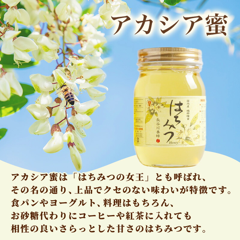 国産はちみつ アカシア 1kg 2026年採集 純粋はちみつ 長谷川養蜂 蜂蜜 ハチミツ アカシア蜂蜜 純粋蜂蜜 国産蜂蜜 はちみつ ハニー honey 生はちみつ 贈答 ギフト プレゼント 産地直送