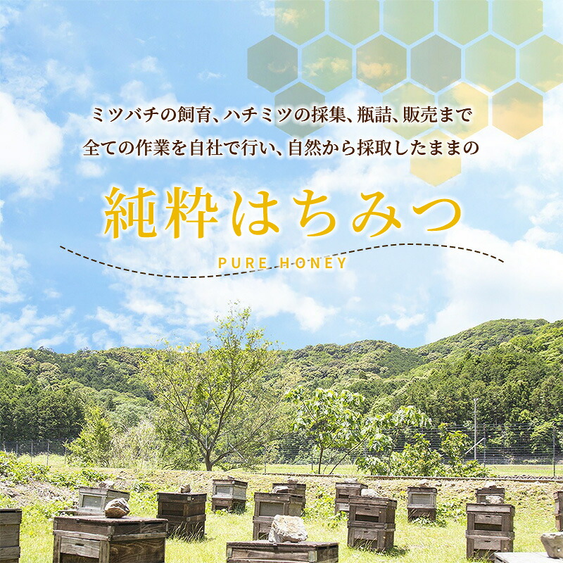 国産はちみつ アカシア 1kg 2026年採集 純粋はちみつ 長谷川養蜂 蜂蜜 ハチミツ アカシア蜂蜜 純粋蜂蜜 国産蜂蜜 はちみつ ハニー honey 生はちみつ 贈答 ギフト プレゼント 産地直送