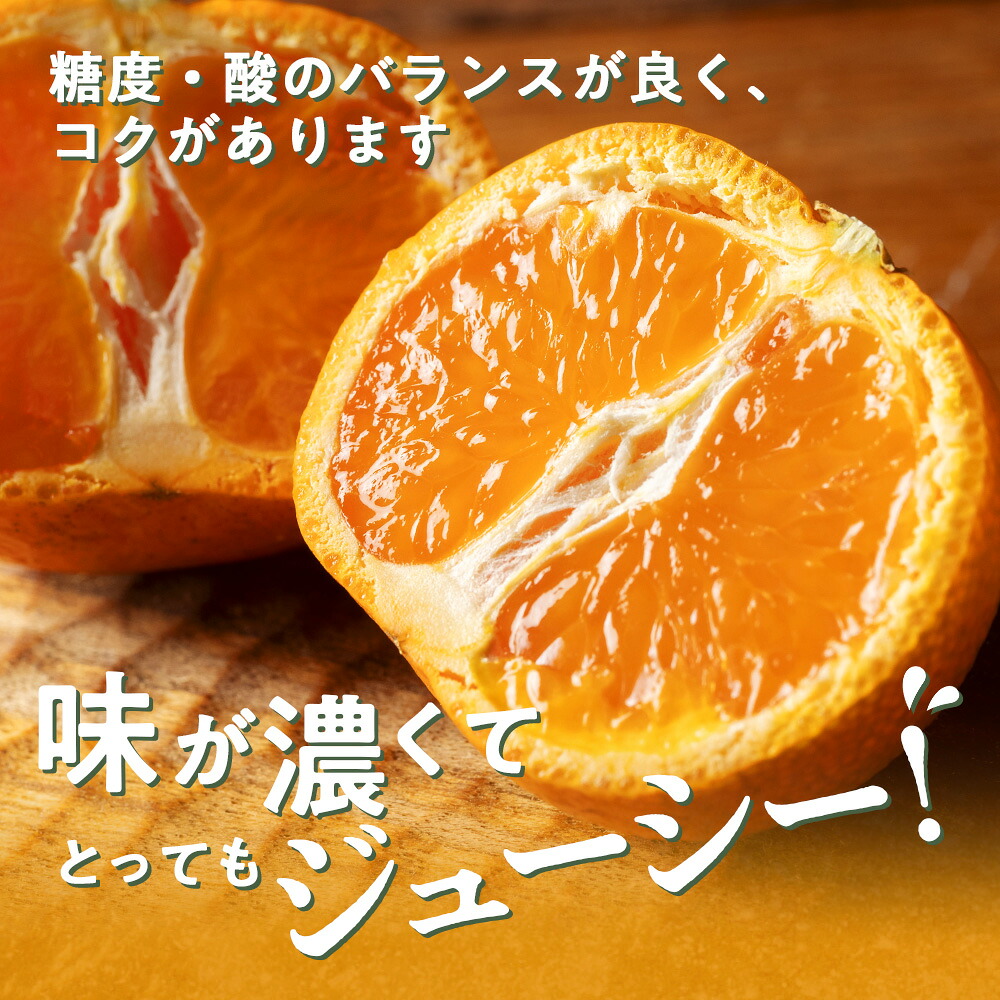 蜜柑 みかん 約 5kg 令和8年 10月末発送 ないぜしぜん村 蜜柑 mikan みかん ミカン 内瀬 フルーツ 果物 甘い 濃厚 ジューシー 先行予約 予約受付 産地直送 国産 国内産 三重