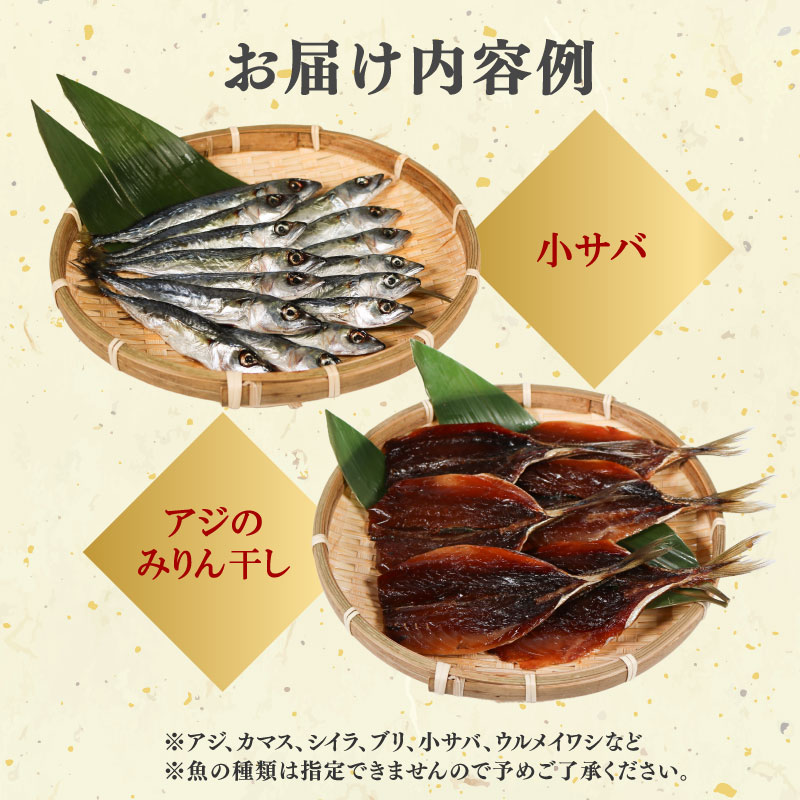 訳あり 干物 おまかせ セット 冷凍 詰め合わせ ひもの 訳アリ 規格外 不揃い ヒモノ 開き 醤油干し みりん干し 朝食 和食 おつまみ アジ カマス シイラ ブリ 小サバ ウルメイワシ