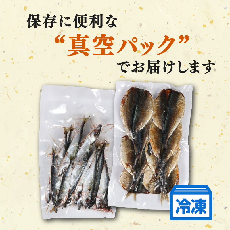 訳あり 干物 おまかせ セット 冷凍 詰め合わせ ひもの 訳アリ 規格外 不揃い ヒモノ 開き 醤油干し みりん干し 朝食 和食 おつまみ アジ カマス シイラ ブリ 小サバ ウルメイワシ