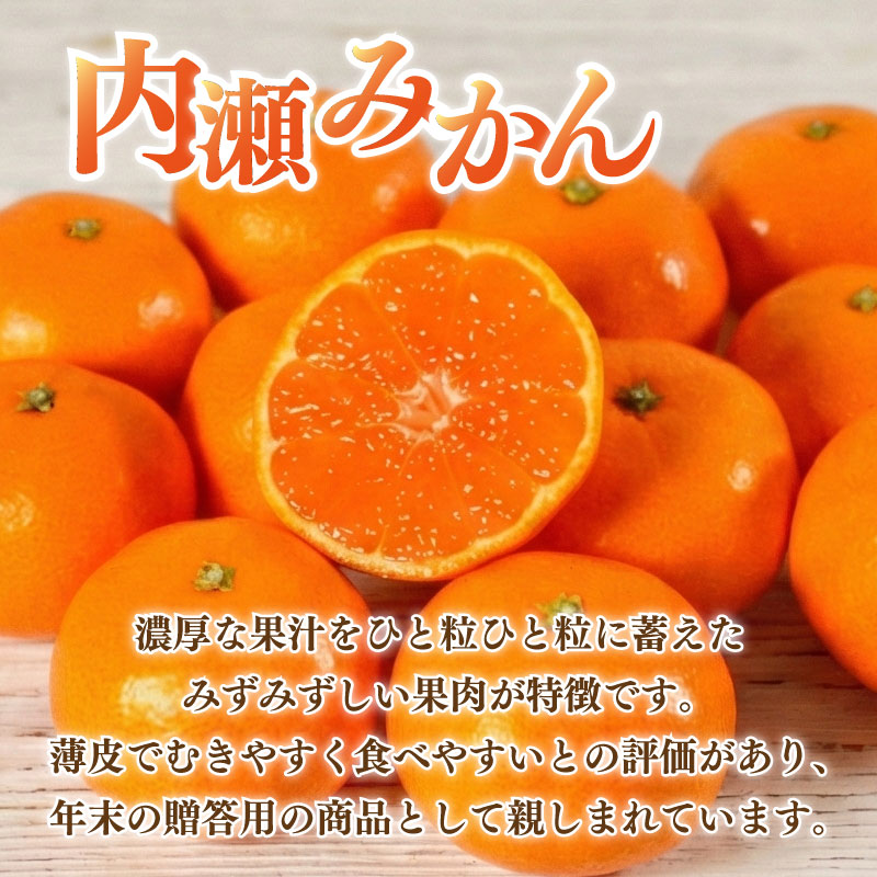 先行予約 みかん 温州みかん 約5kg 数量限定 期間限定 内瀬みかん アサヒ農園 柑橘 蜜柑 フルーツ 果物 くだもの 国産 ブランド 三重県 伊勢 志摩 南伊勢町