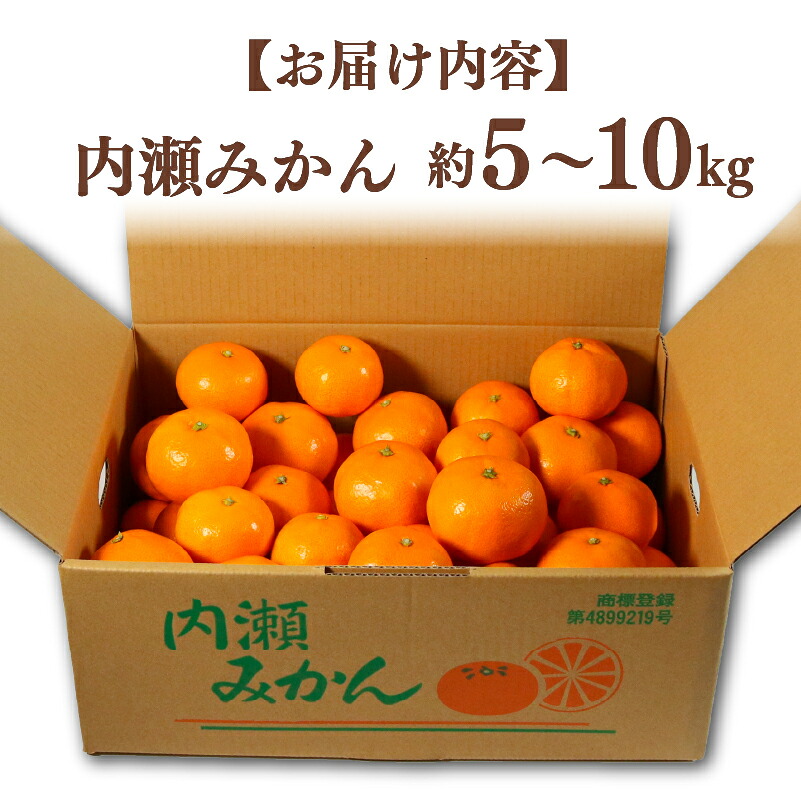 先行予約 みかん 温州みかん 約5kg 数量限定 期間限定 内瀬みかん アサヒ農園 柑橘 蜜柑 フルーツ 果物 くだもの 国産 ブランド 三重県 伊勢 志摩 南伊勢町