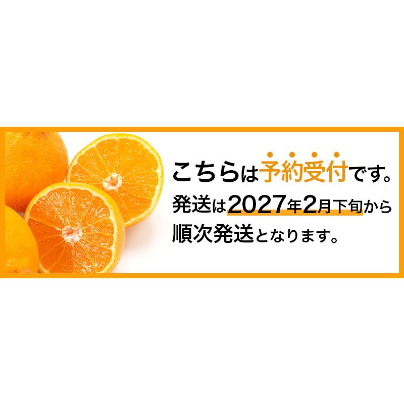 【先行予約】 不知火 11~12個 数量限定 期間限定 内瀬デコ アサヒ農園 しらぬい 柑橘 みかん 蜜柑 フルーツ 果物 くだもの 贈答用 贈答品 贈答 ギフト プレゼント 国産 ブランド 三重県