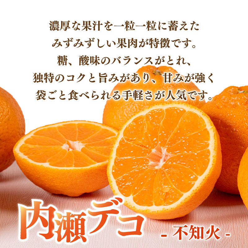 【先行予約】 不知火 11~12個 数量限定 期間限定 内瀬デコ アサヒ農園 しらぬい 柑橘 みかん 蜜柑 フルーツ 果物 くだもの 贈答用 贈答品 贈答 ギフト プレゼント 国産 ブランド 三重県