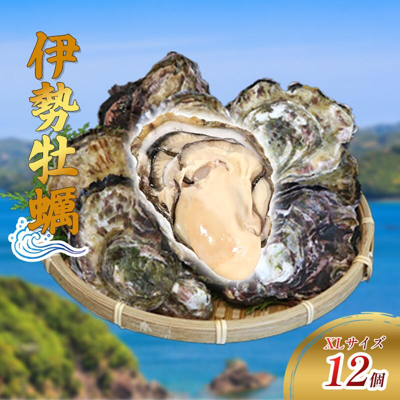 (冷蔵) Aコース 三倍体 伊勢牡蠣 XLサイズ 12個 三重産 カキ かき 加熱用 カキフライ 牡蠣鍋 蒸し牡蠣 カキ 真牡蠣 BBQ 浜焼き バーベキュー 新鮮 海鮮 魚介 国産 取り寄せ グルメ