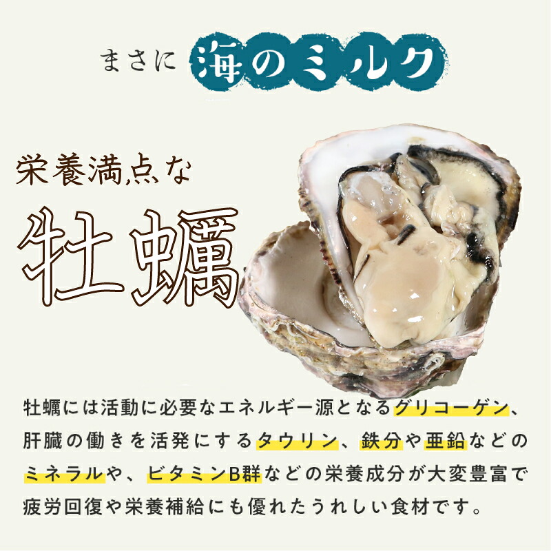 (冷蔵) Aコース 三倍体 伊勢牡蠣 XLサイズ 12個 三重産 カキ かき 加熱用 カキフライ 牡蠣鍋 蒸し牡蠣 カキ 真牡蠣 BBQ 浜焼き バーベキュー 新鮮 海鮮 魚介 国産 取り寄せ グルメ