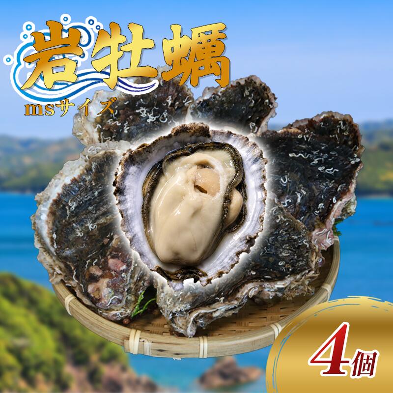 （冷蔵） Bコース 岩牡蠣 MSサイズ 4個 三重産 カキ かき 加熱用 カキフライ 牡蠣鍋 蒸し牡蠣 カキ BBQ 浜焼き バーベキュー 新鮮 海鮮 魚介 国産 取り寄せ グルメ 料理 オイスター