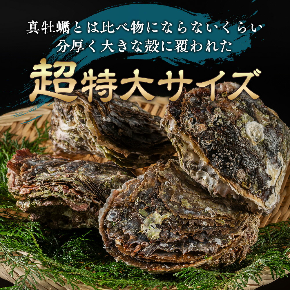 （冷蔵） Bコース 岩牡蠣 MSサイズ 4個 三重産 カキ かき 加熱用 カキフライ 牡蠣鍋 蒸し牡蠣 カキ BBQ 浜焼き バーベキュー 新鮮 海鮮 魚介 国産 取り寄せ グルメ 料理 オイスター