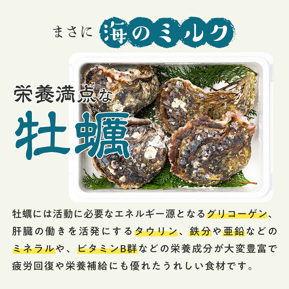 （冷蔵） Bコース 岩牡蠣 MSサイズ 4個 三重産 カキ かき 加熱用 カキフライ 牡蠣鍋 蒸し牡蠣 カキ BBQ 浜焼き バーベキュー 新鮮 海鮮 魚介 国産 取り寄せ グルメ 料理 オイスター