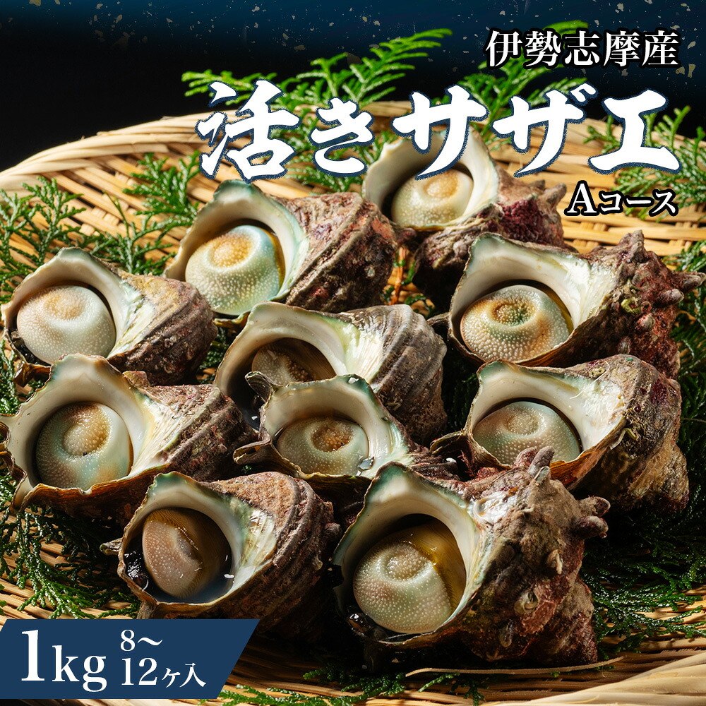 サザエ 1kg 8ヶ~12ヶ 冷蔵 新鮮 海鮮 海産物 魚介 魚貝 活きサザエ 栄螺 貝 刺身 刺し身 お造り つぼ焼き 壺焼き グリル BBQ バーベキュー キャンプ 夏 ギフト 贈り物 三重