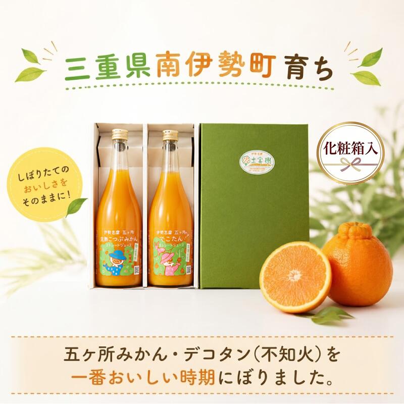 南伊勢　みかん　ストレートジュースセット／蜜柑　フルーツ　デコタン　柑橘類　特産　三重県　伊勢志摩産