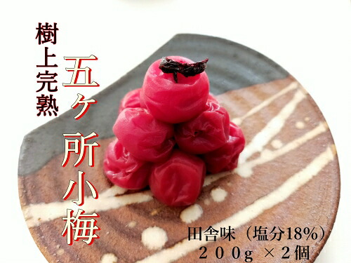 梅干し 小梅 200g×2個 計400g 田舎味 しそ 梅干 うめぼし うめ うめ干し 小梅 梅 ないぜしぜん村 無添加 樹上 完熟 とろける 塩分18% 伊勢志摩 三重県 南伊勢町