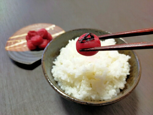 梅干し 小梅 200g×2個 計400g 田舎味 しそ 梅干 うめぼし うめ うめ干し 小梅 梅 ないぜしぜん村 無添加 樹上 完熟 とろける 塩分18% 伊勢志摩 三重県 南伊勢町