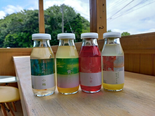 手作り ジュース みかん セミノール 梅 しそ 4種 10本 各 170ml ないぜしぜん村 みかんジュース 蜜柑ジュース 紫蘇ジュース 紫蘇 梅ジュース 小梅 飲料 ミカン 蜜柑 青みかん