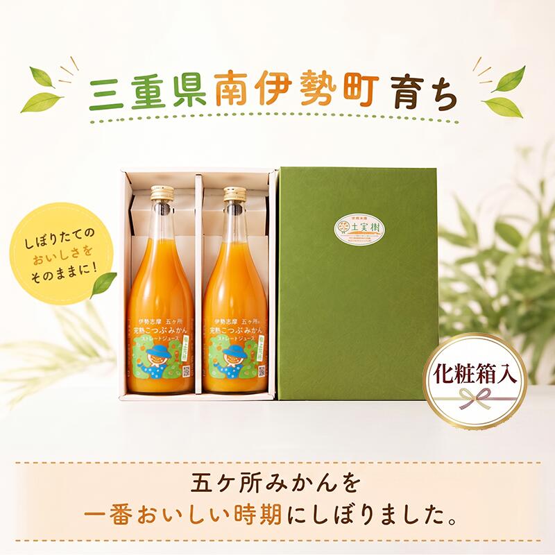 「完熟こつぶみかん」 100%ストレートジュース 720ml 選べる容量 2本~3本 三重県 南伊勢町/土実樹農園
