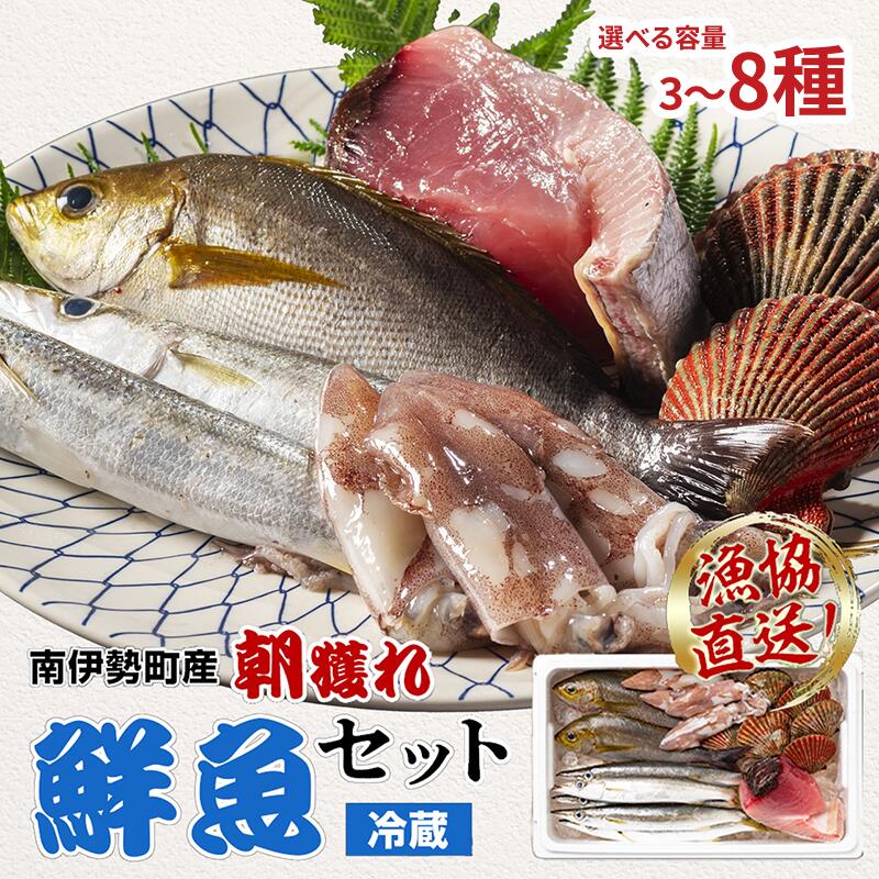 選べる容量！ おまかせ 鮮魚 セット 3～8種 カツオ ブリ まぐろ アジ サバ イワシ タイ 貝類 ひもの お刺身用柵