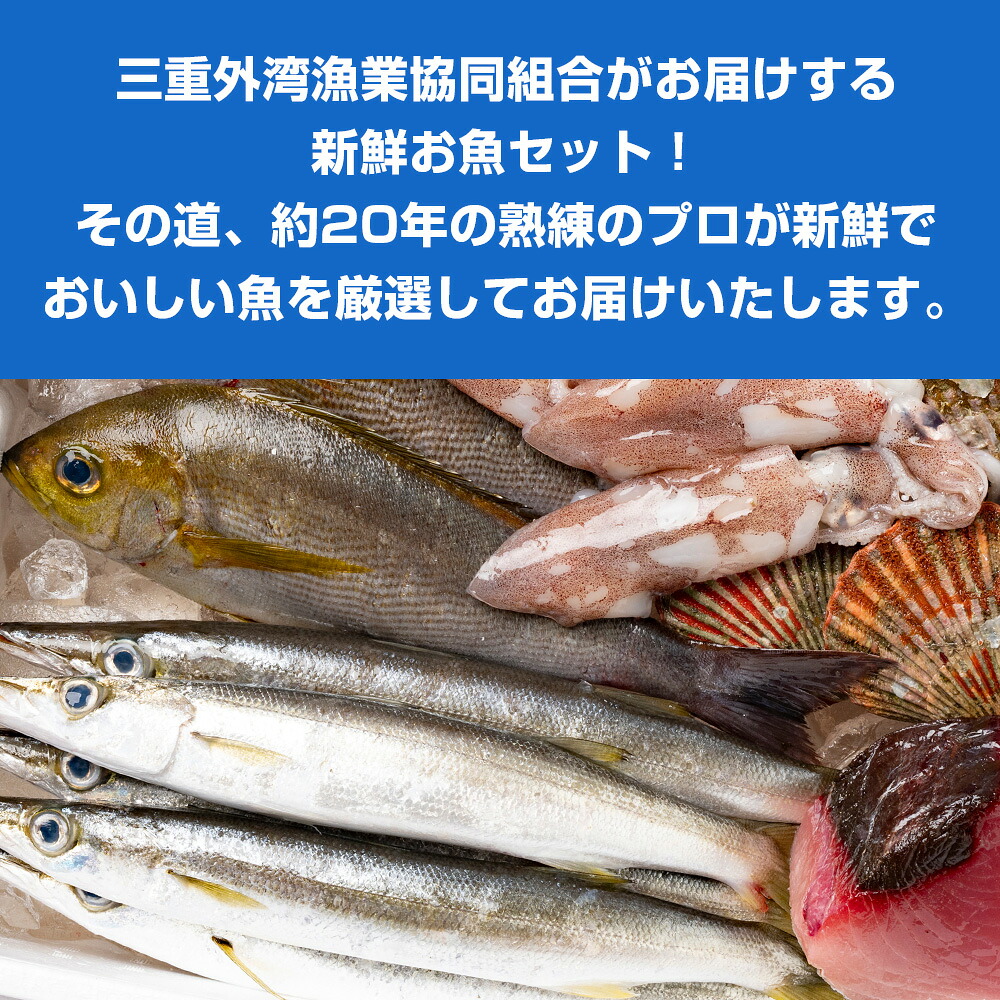 選べる容量！ おまかせ 鮮魚 セット 3～8種 カツオ ブリ まぐろ アジ サバ イワシ タイ 貝類 ひもの お刺身用柵