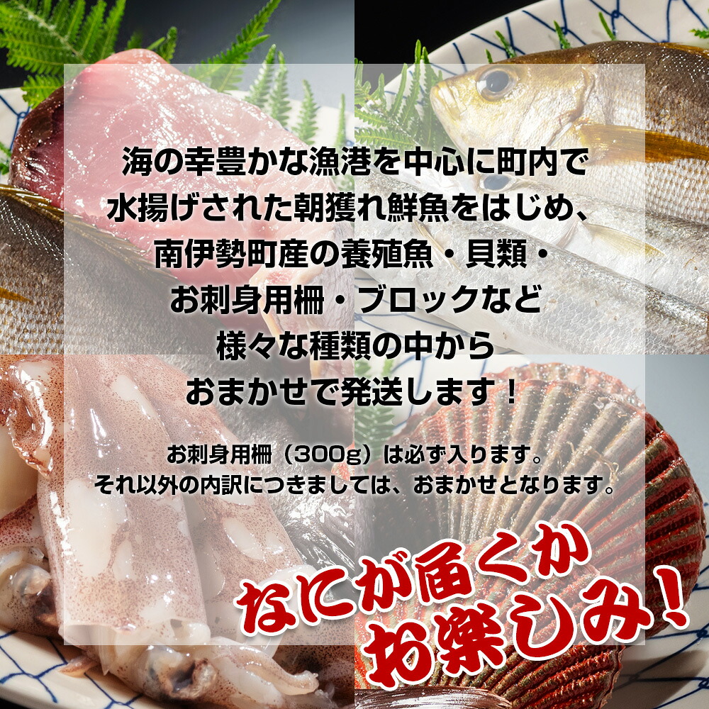 選べる容量！ おまかせ 鮮魚 セット 3～8種 カツオ ブリ まぐろ アジ サバ イワシ タイ 貝類 ひもの お刺身用柵