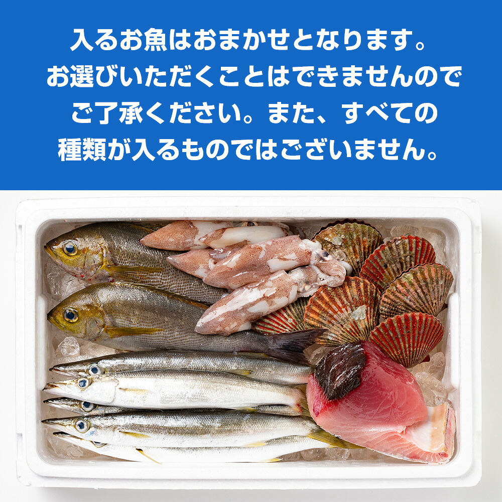 選べる容量！ おまかせ 鮮魚 セット 3～8種 カツオ ブリ まぐろ アジ サバ イワシ タイ 貝類 ひもの お刺身用柵
