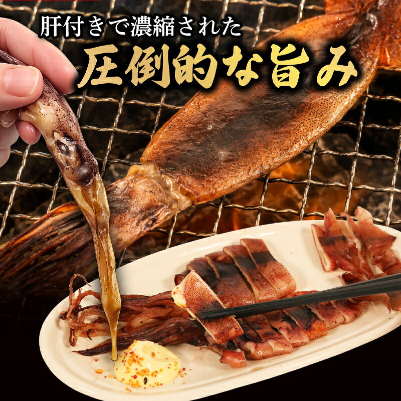 イカの干物 冷凍 南伊勢町産 1パック 干物 一夜干し イカ 干物 おつまみ 晩酌 おかず 晩御飯 するめ スルメ スルメイカ 丸干し 海鮮 魚介 海産物 山藤 伊勢 志摩 南伊勢
