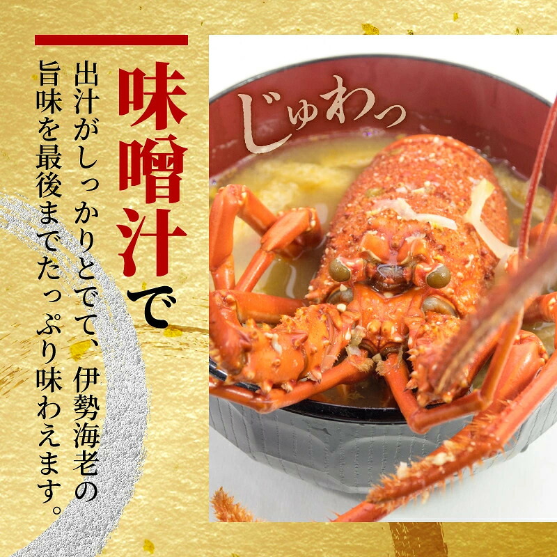 選べる容量 訳あり 伊勢海老 約800gから約1.3kg 冷凍 加熱用 海鮮 海の幸 海老 伊勢海老 伊勢えび BBQ