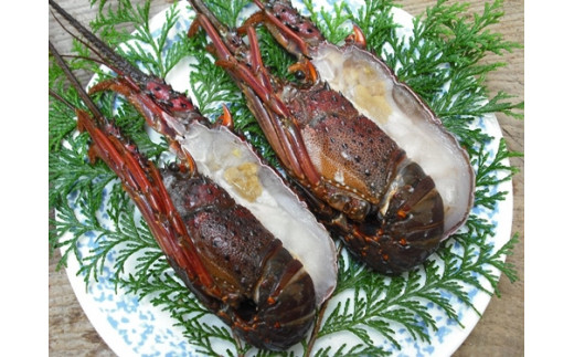 （冷凍） 伊勢志摩産 活〆半割り 伊勢海老 2尾 詰め合わせ 生食用 ／ 丸池 伊勢えび イセエビ 海の幸 三重県 南伊勢町 伊勢志摩