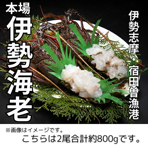 （冷凍） 伊勢志摩産 活〆伊勢海老 2尾 姿造り 生食用 （L） ／ 丸池 伊勢えび イセエビ 特産 三重県 南伊勢町 伊勢志摩