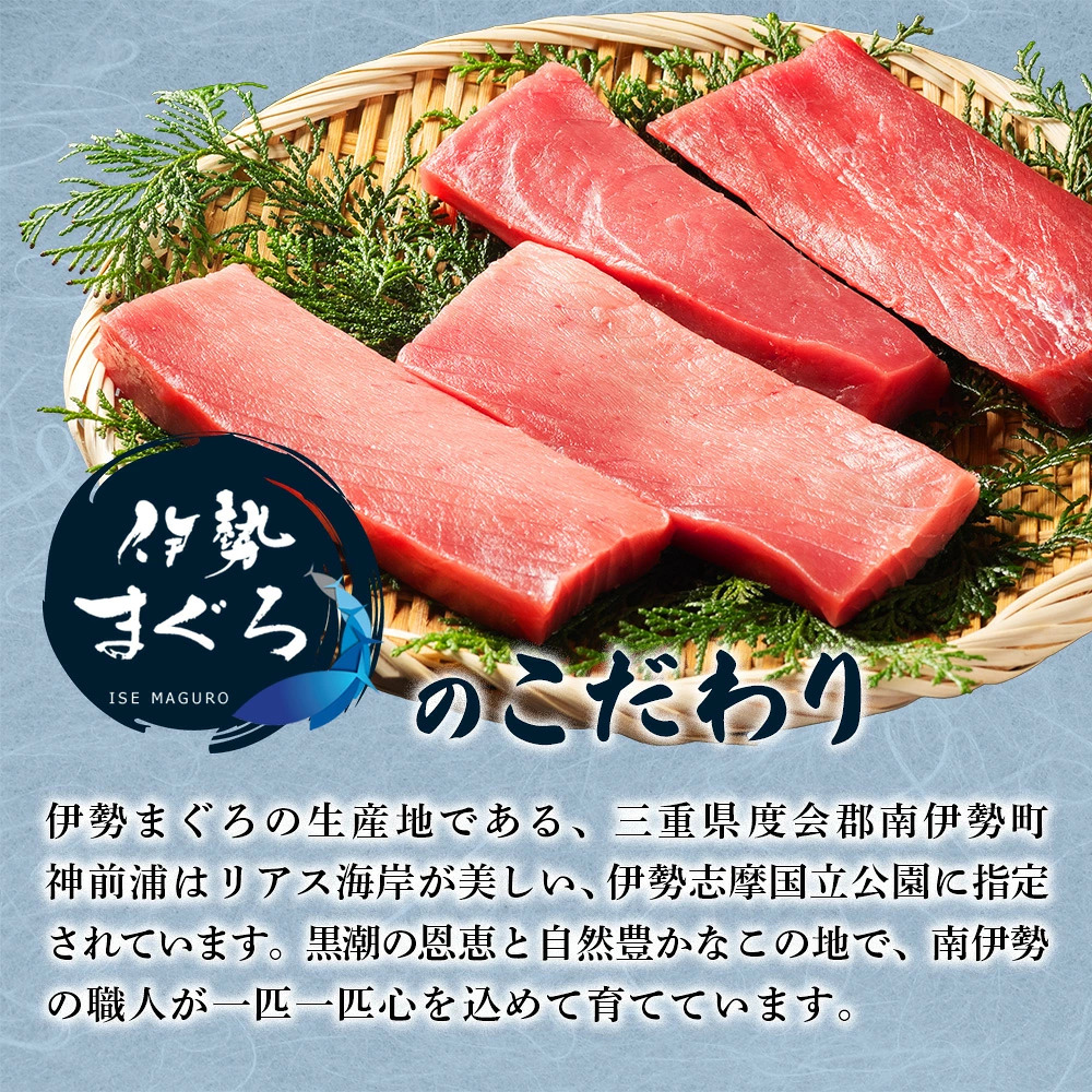 本まぐろ 赤身 トロ身 約700g おさしみ お造り 切り身 南伊勢町 伊勢まぐろ