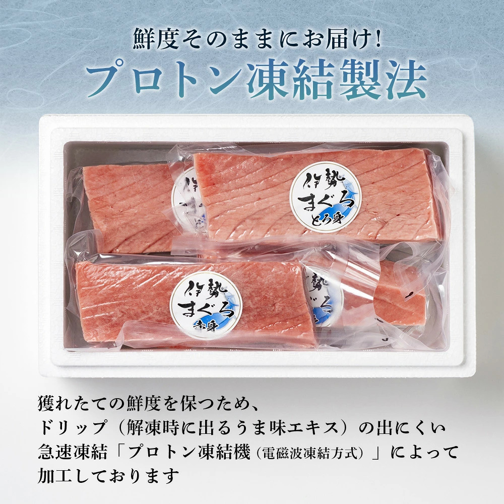 本まぐろ 赤身 トロ身 約700g おさしみ お造り 切り身 南伊勢町 伊勢まぐろ