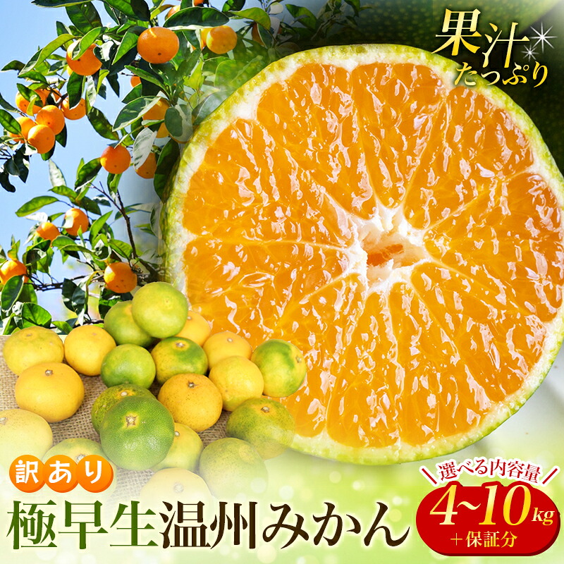 訳あり S-4L サイズおまかせ 石本農園のカラオレンジ 4kg