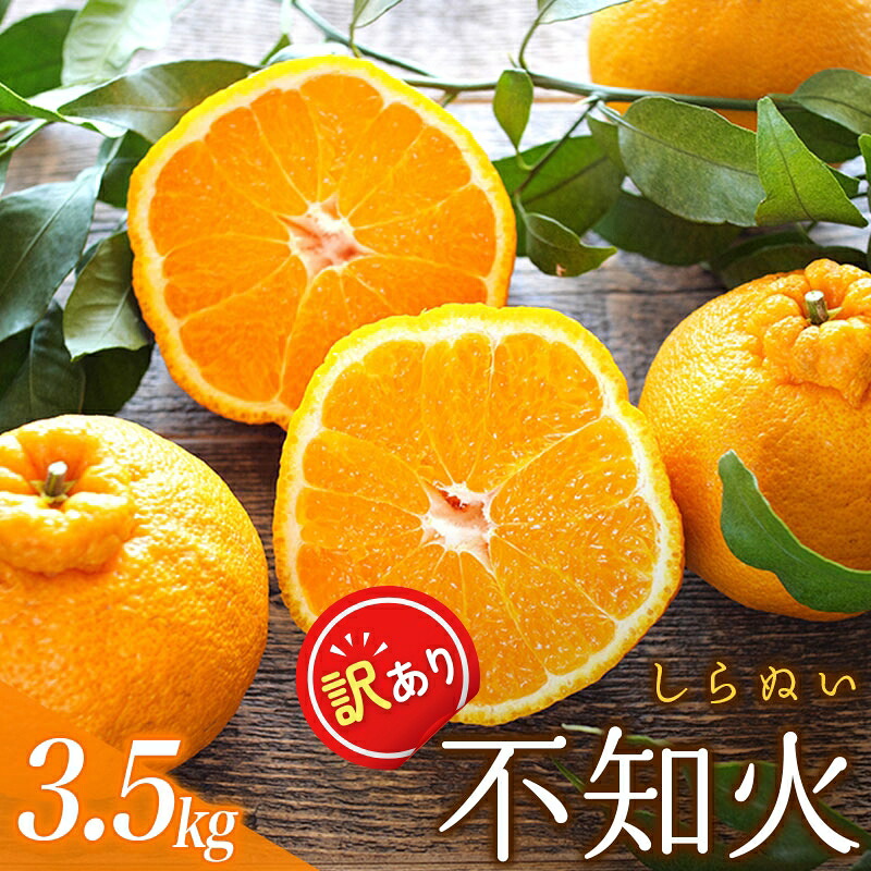 ご 訳あり 不知火 約3.5kg