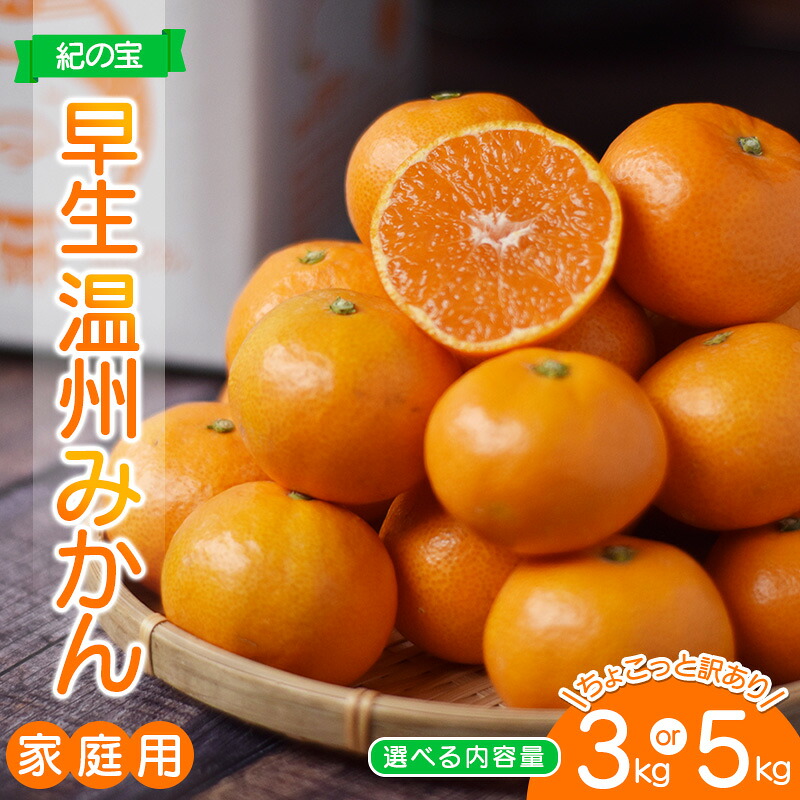 S-Lサイズ不揃い 訳あり品 ご たにぐち農園の早生温州みかん
