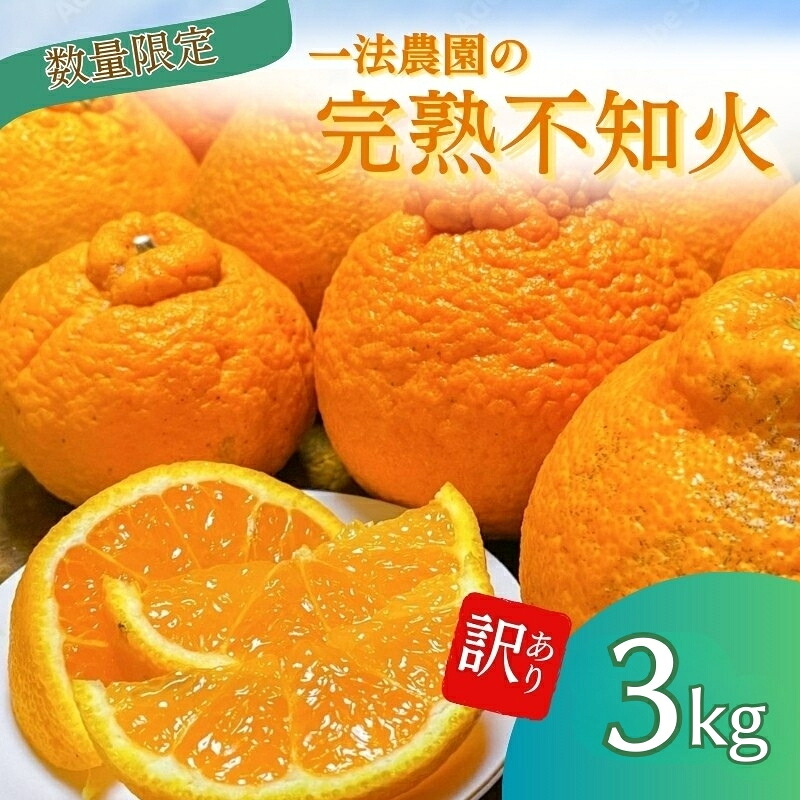一法農園の完熟不知火 ご ちょこっと訳あり