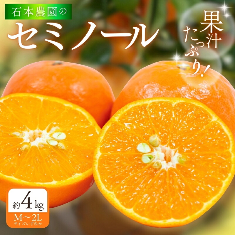 石本農園のセミノール M~2Lいずれか 約4kg