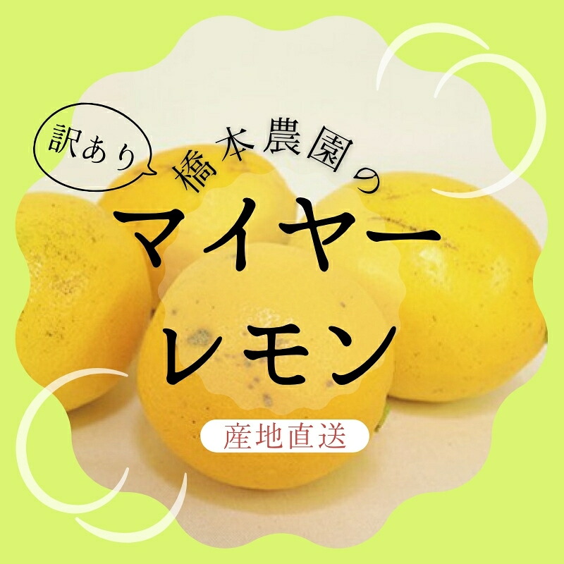 【先行予約】橋本農園の 訳あり マイヤーレモン 5kg【2026年12月中旬から2027年1月中旬までに順次発送】 / レモン マイヤーレモン 檸檬 先行予約 家庭用 ご家庭用【mht015】