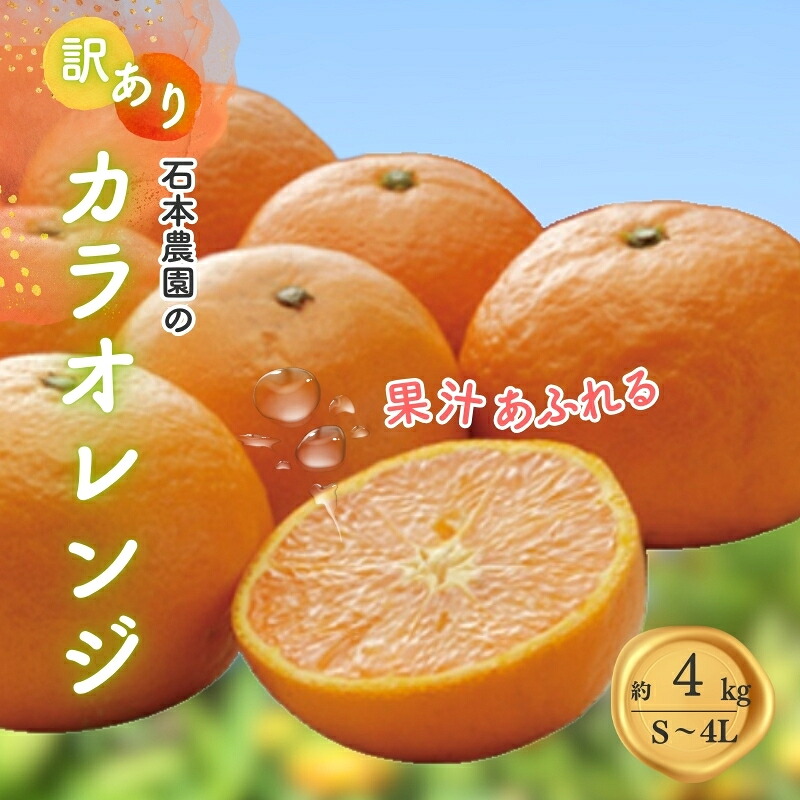 訳あり S-4L