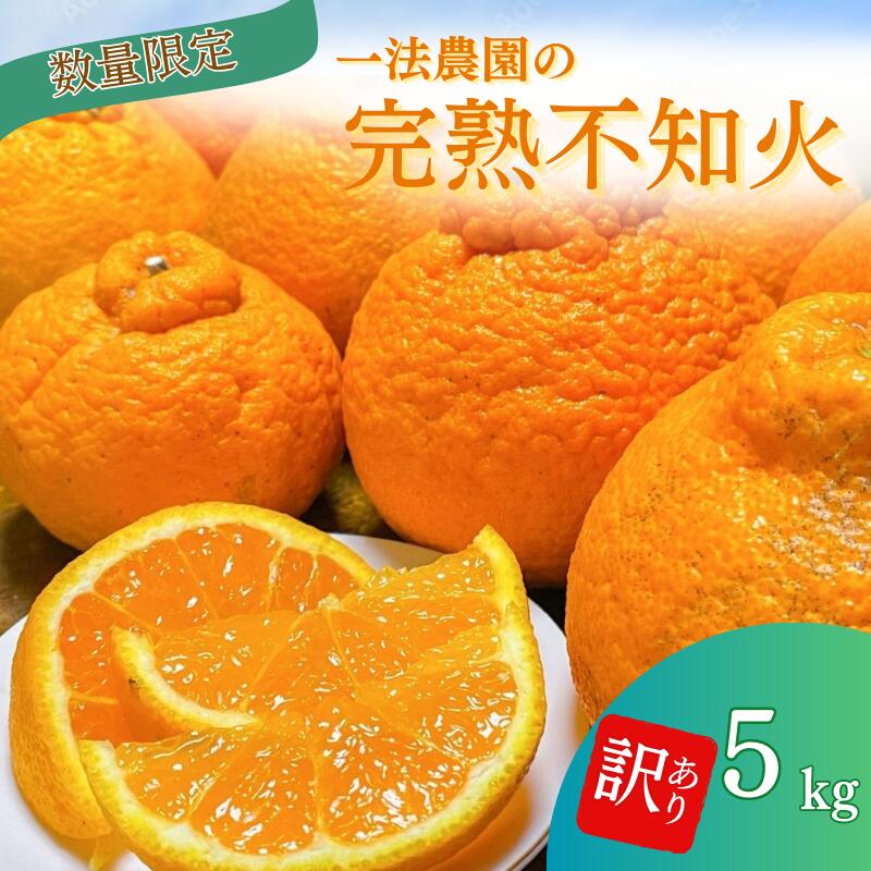 一法農園の完熟不知火 ご ちょこっと訳あり