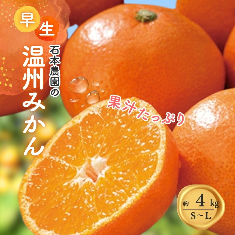S-Lサイズいずれか 石本農園の早生温州みかん約4kg